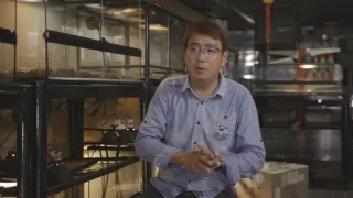 Příroda na kliknutí