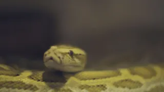 Příroda na kliknutí