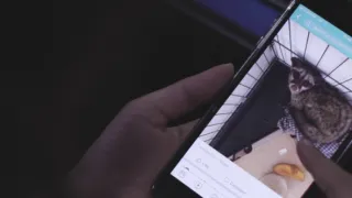 Příroda na kliknutí