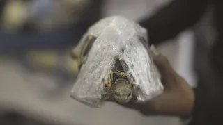 Příroda na kliknutí