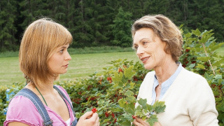 Inga Lindström: Láska v Sandbergenu