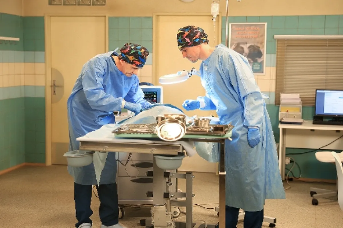 ZOO Nové začátky, 2025 - fotogaléria