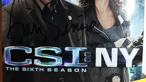 C.S.I.: Kriminálka New York VI (5/23)