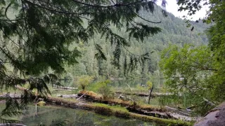 Na cestě po jihozápadě Britské Kolumbie