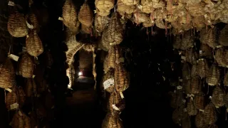 Emilia-Romagna, srdce Itálie