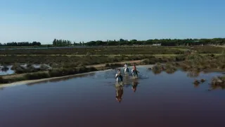 Emilia-Romagna, srdce Itálie