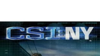 Kriminálka New York (3)