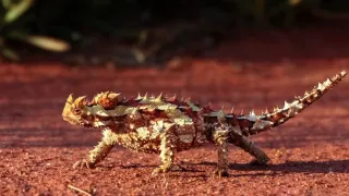 Cesty kolem světa (7/12)