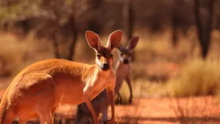 Cesty kolem světa (7/12)