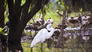 Cesty kolem světa (7/12)