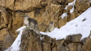 Zázračná planeta: Asie (2/7)