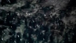 Zázračná planeta: Asie (2/7)