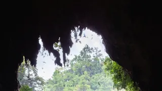 Zázračná planeta: Asie (2/7)