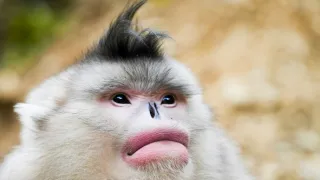 Zázračná planeta: Asie (2/7)