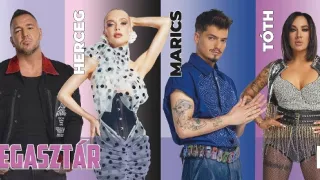 Megasztár VIII (12)