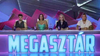 Megasztár VIII (12)