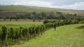 Zpátky do přírody