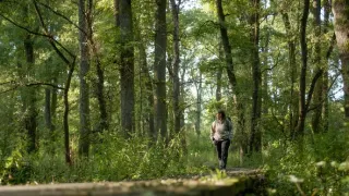 Zpátky do přírody