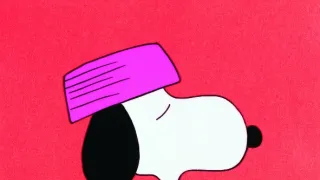 Snoopy, vrať se