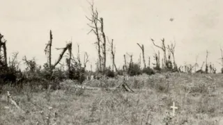 Přední linie (5/8)