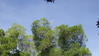 Kořeny života (2/3)