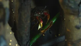 Kořeny života (2/3)