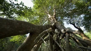 Kořeny života (2/3)