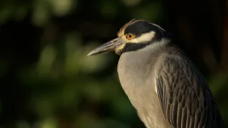 Kořeny života (2/3)