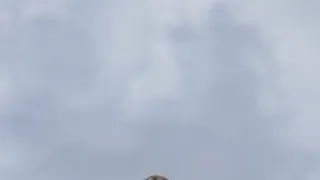 Kořeny života (2/3)