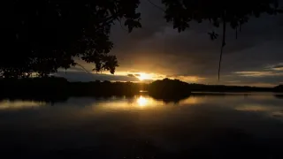 Kořeny života (2/3)