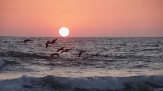 Kořeny života (2/3)