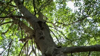 Kořeny života (2/3)