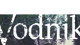 Vodník (1/3)