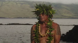 Akvárium - stinná stránka hobby