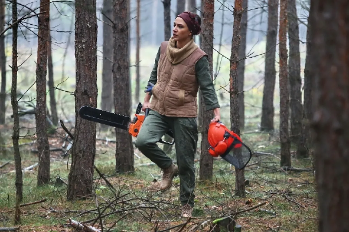 Slunečná, 2020 - fotogaléria