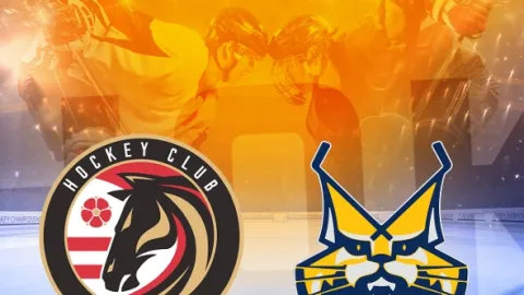 Hokej - Tipsport liga