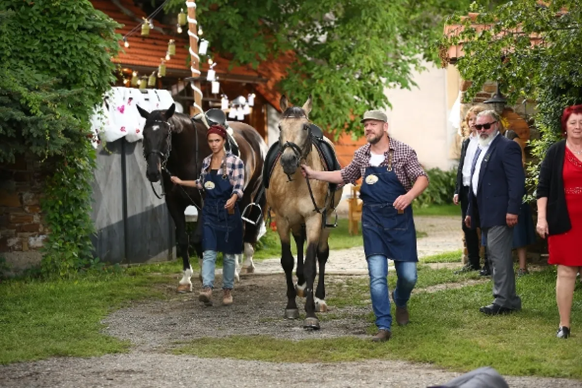 Slunečná, 2020 - fotogaléria