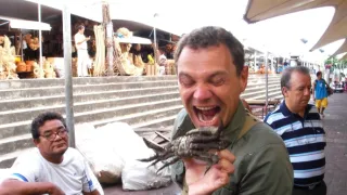 S kuchařem kolem světa