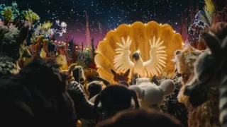 Myši patří do nebe