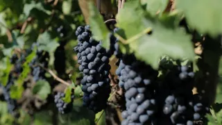 Manu a Matěj na cestě po střední Itálii (8/10)