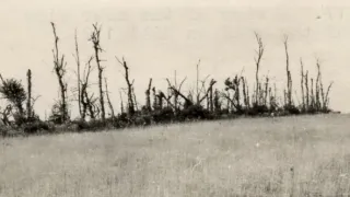 Přední linie (5/8)