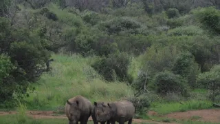 Na cestě po Matabelsku