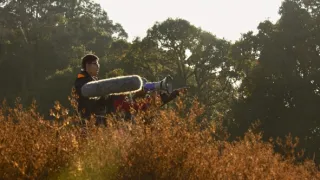 Píseň pro lásku aneb Primáti na seznamce