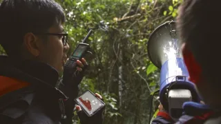 Píseň pro lásku aneb Primáti na seznamce