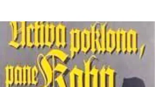 Uctivá poklona, pane Kohn