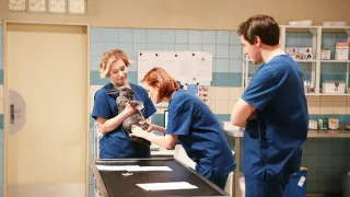 ZOO Nové začátky (204)