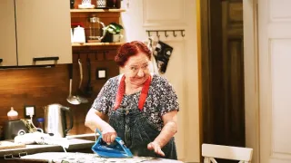 ZOO Nové začátky (204)