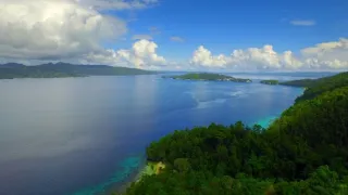 Strategie rozmnožování v přírodě (2/2)