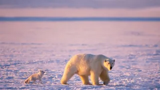 Nespoutaná zima (4)