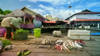 Kouzelný svět koření (2)